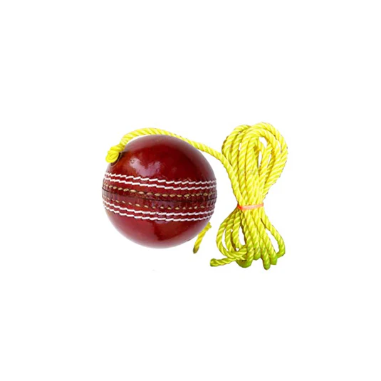 Cricket Ball Hanging - Image 3