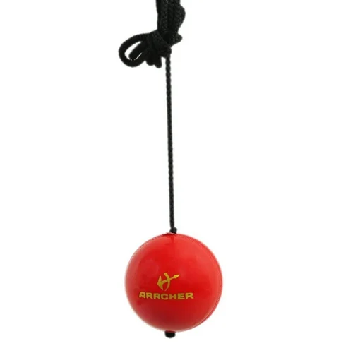 Cricket Ball Hanging - Image 2