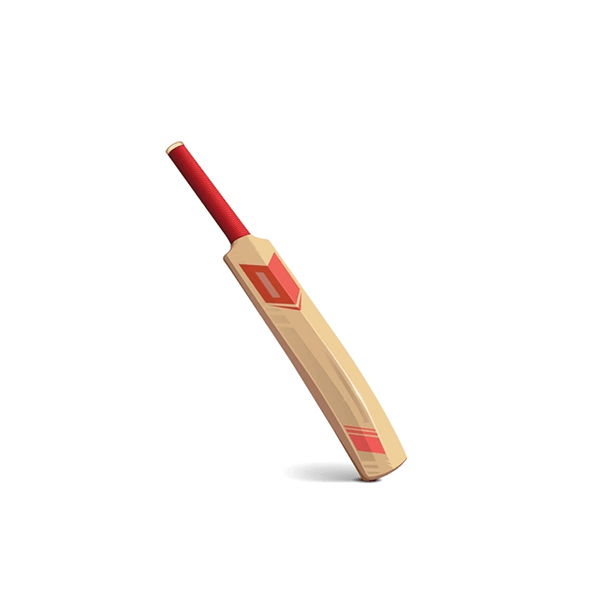 Cricket Bat - Image 3