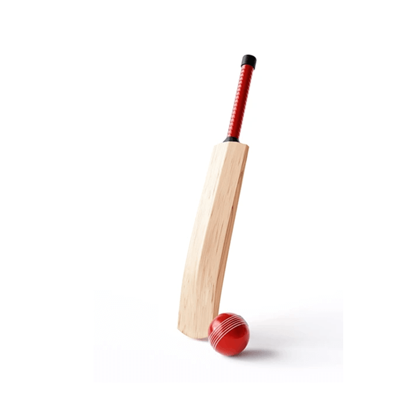 Cricket Bat - Image 4