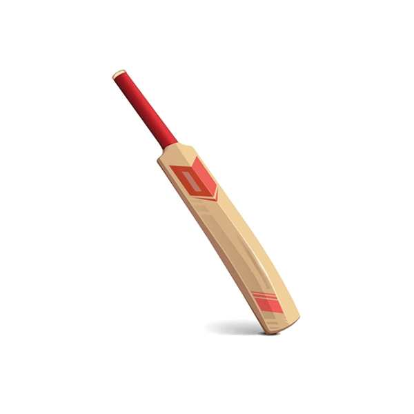 Cricket Bat - Image 2